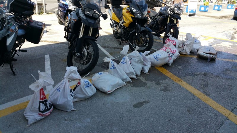 Campeonato Navarro por equipos y Open Navarro "por especies"